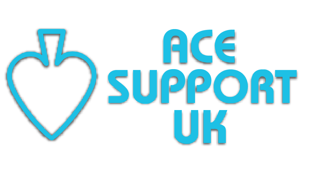 Ace Support UK